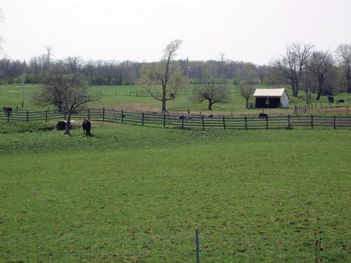 Property photo 1 - 188 Acres Offered in 5 Tracts